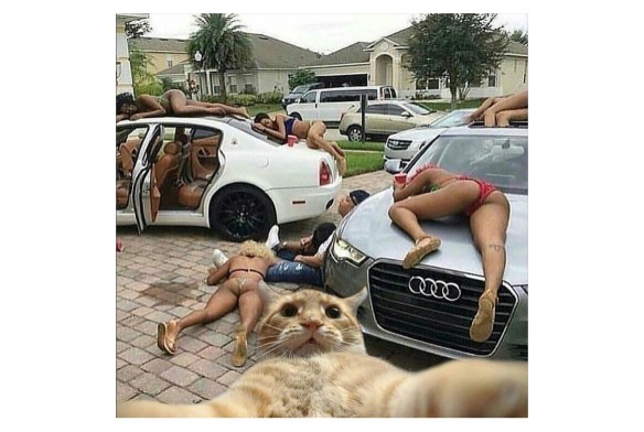 Screenshot_20170725-215157_edited